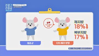 체지방까지 감소시켜주는 타트체리🍒의 기특한 효과 #협찬 친절한 진료실(hello my doctor) 10회 | JTBC 20200913 방송