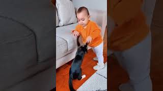 Perfect for kids who love animals and funny moments