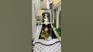 hồ cá koi phong cách hiện đại#shorts