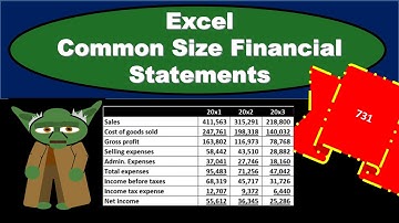 Common Size Financial Statements - Financial Statement Analysis – Ratio Analysis