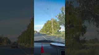Вид из окна машины, путешествие, дорога, лето 2024, Россия, природа, поле, посадка, деревья
