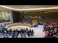 Ukraine: Security Council meeting