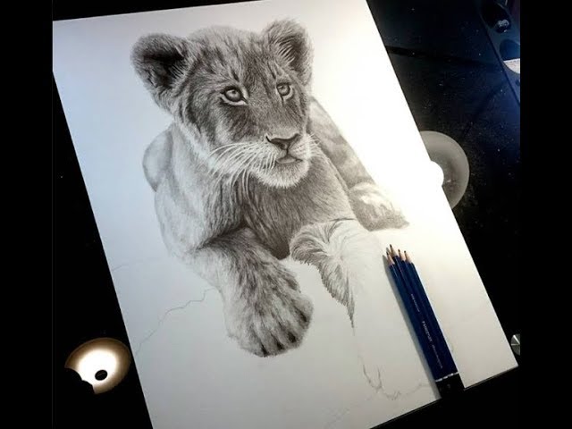 Lion Cub Baby no.2 Art Drawing Prints A4/A3 Size, Greetings/note Card card  Can Be Personalised - Etsy