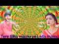 Laila Majnu Video Gana