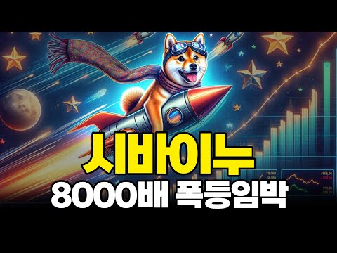 시바이누 시바이누코인 시바이누코인전망 SHIB DOGE 