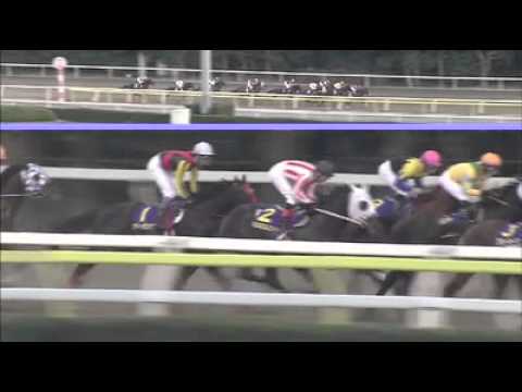 メジロファーム カネヒキリ 東京大賞典Ver. 東京大賞典 -2008年 - YouTube