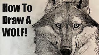 How To Draw A Wolf