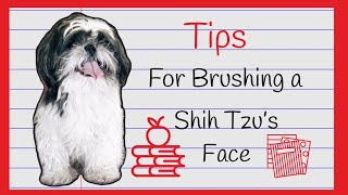 TIPS for brushing a SHIH TZU’s FACE.