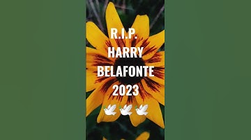 Thumbnail of 🎶HARRY BELAFONTE Ambiflash🎶Gloria Wimberley🎶#harrybelafonte #music #mom #subscribe
