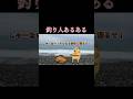 こういう時どうしてる?#釣り #ヒラメ #猫ミーム #鳥ミーム #shorts