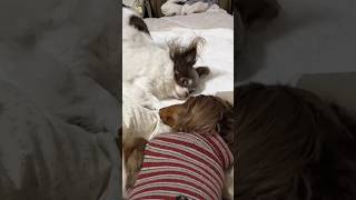 流石に顔の前で咳されるのは嫌だよね〜