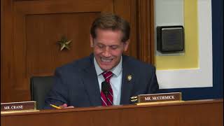 Congressman McCormick Joins Oversight Committee Roundtable to Discuss His Ban Birth Tourism 