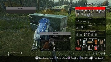 DayZ PS5 easy kill and a weird visual glitch