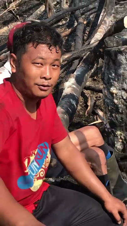 Tradisi NUGAL di komunitas adat Dayak Kualant