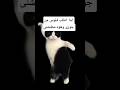لما اطلب فلوس من جوزى وهوه مطنشنى    