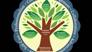 Professional Practice Model