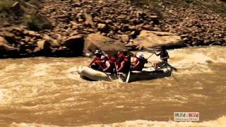 Lower Animas River Rafting with Mild to Wild