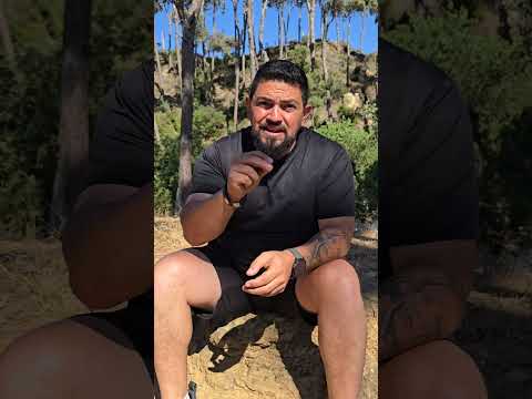 التعرف على طبع الكلب اهم نقطه للتدريب الكلب Dogbreeds اكسبلور Dabelacademy كلاب Trending 