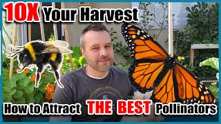 10X Your Vegetable Harvest  Attract the Best Pollinators to Your Garden.