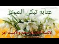عتابه تبكي الصخر 