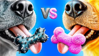 видео: Хорошая собака vs плохая кошка! Мы построили домики для домашних животных картинка: Хорошая собака vs плохая кошка! Мы построили домики для домашних животных