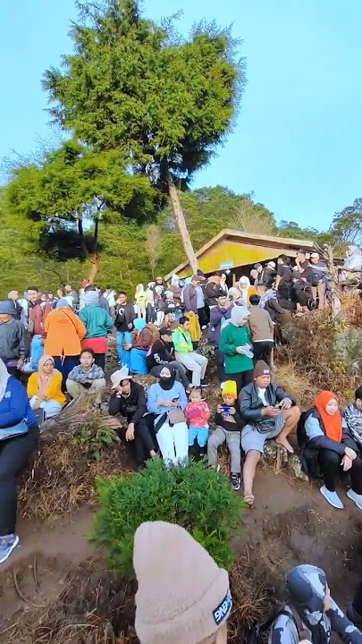 SUASANA PAGI DI BUKIT SIKUNIR DIENG #shorts