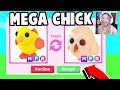 Trading first ever mega chick pet in adopt me