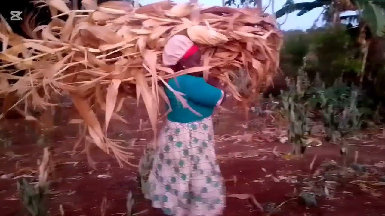 Simple// rustic countryside life