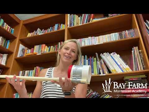 Bay Farm Montessori Academy | Design Thinking - The Vocal Visualizer