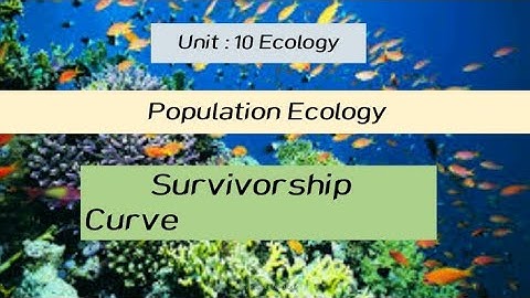 Survivorship Curve Ecology | population Ecology