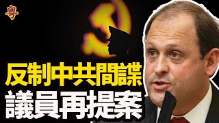 記者梁珍受襲 大紀元聲明譴責兇徒毆打該報記者;CIA最新2040前景報告:世界失控中國主導混亂;中共間諜猖獗 美議員用這招反制中共偷情報【粵覽新聞】20210511