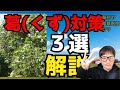 厄介な雑草・葛（くず）のお勧め対策3選（草刈・除草剤・他）