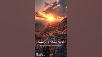 سورة الجاثية ايه ٨