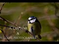 A DAY with a WILDLIFE PHOTOGRAPHER | Bird Photography Behind the Scenes | Wildlife Vlogs