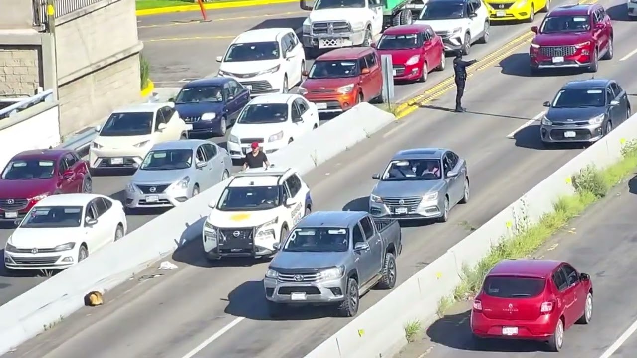 Agentes de la #GuardiaCívica de la #SSPMQ rescatan a canino que se encontraba sobre vialidad