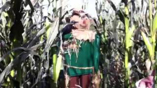 Corn Maze at Jones Family Farm - Shelton, CT