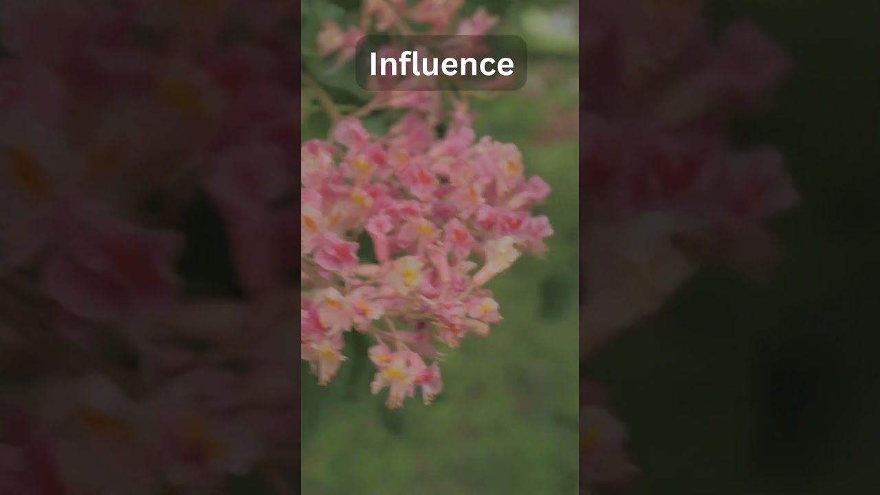 Inspirational Quotes of The Day - Influence! 