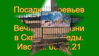 Сад Победы. Иволга. 08.05.21