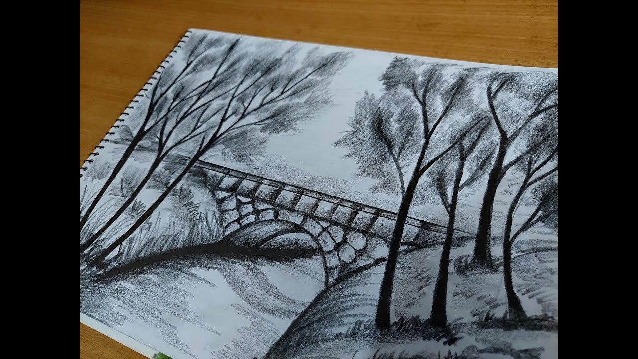 How to draw a Bridge in the jungle || Forest bridge || Bridge sketch ...