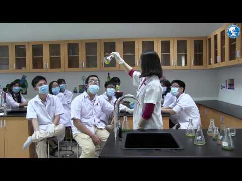 Video Caothang Campus l Sinh học: Thực hành phát hiện diệp... - YouTube