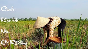 Cá Rô Đồng Nấu Canh Rau Cải Xanh (Fish Soup) | Minh Anh