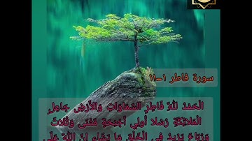 035 سورة فاطر 01-11ሱረቱል ፋጣር  للولد عبدالله بن خضر الحبشي حفظه الله تعالى🎙️ በትንሹ በወንድማችን:- አብደላህ ኸድር
