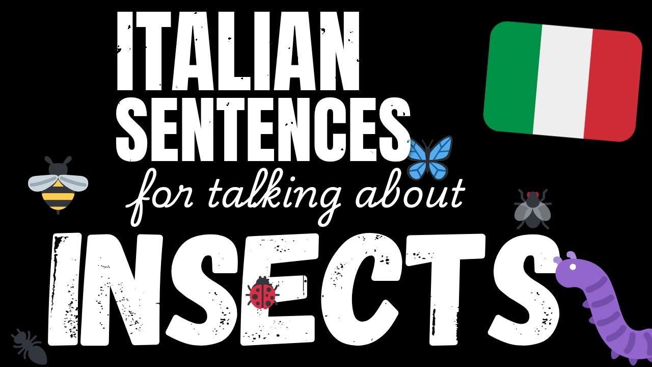100 Easy Italian sentences - Insects | Learn A1 Italian vocabulary