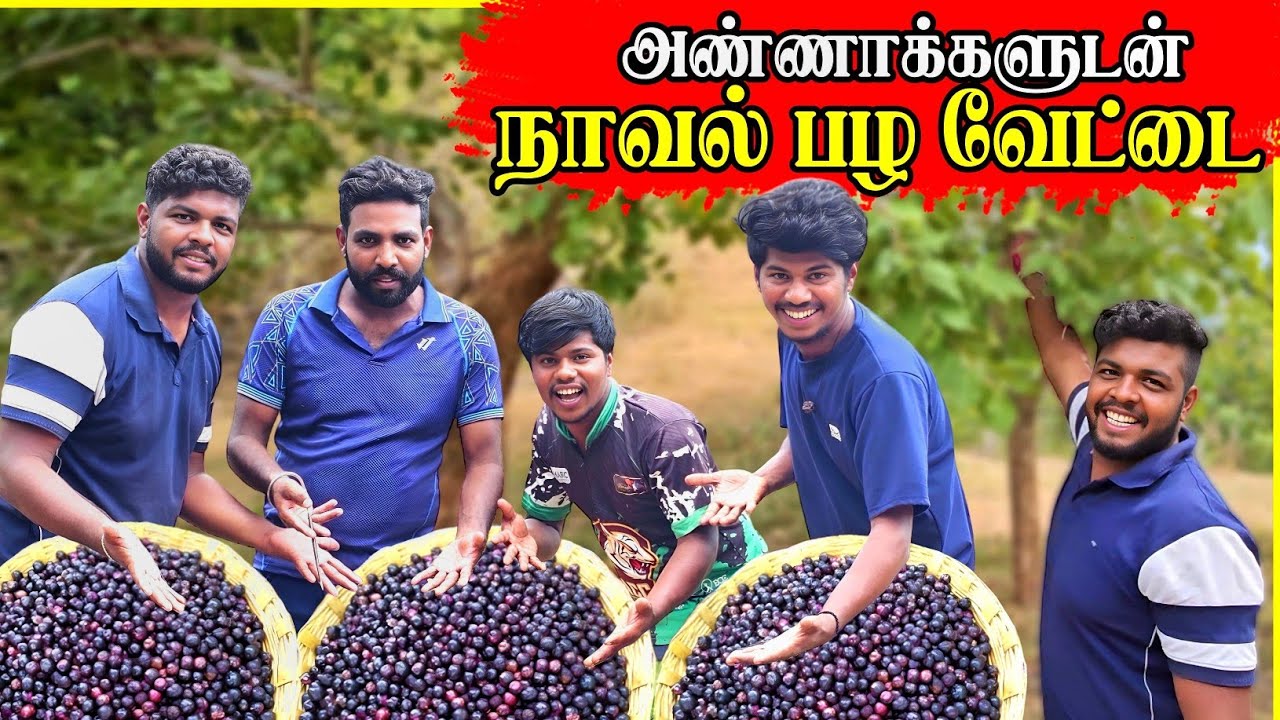 நீண்ட நாளைக்கு பிறகு அண்ணாக்களுடன் | நாவல் பழ வேட்டை | Rj Tamizha