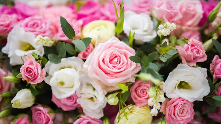 Soire du Mariage - Laura et Samuel