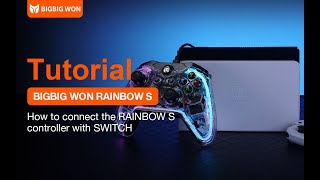 How to connect the RAINBOW S controller with the SWITCH