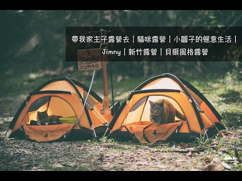 帶我家主子露營去｜英短貓貓露營｜小龘子的愜意生活｜Jimny｜新竹露營｜貝爾風格露營 (Camping EP5)