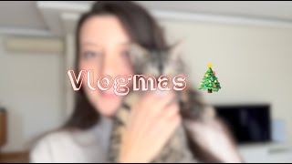 Vlog🎅🏻 | Suzi'yle tanışın, bizimle bir gün