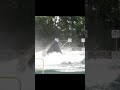 Astro cannon ball