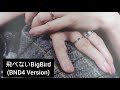 永井真理子さんギター耳コピ第102弾 飛べないBigBird(BND4 Version)